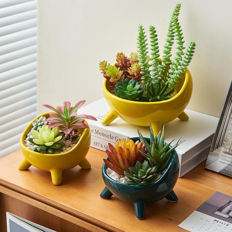 Nordic Ceramic Flower Pot: Succulent & Cactus Desktop Bonsai Ornament