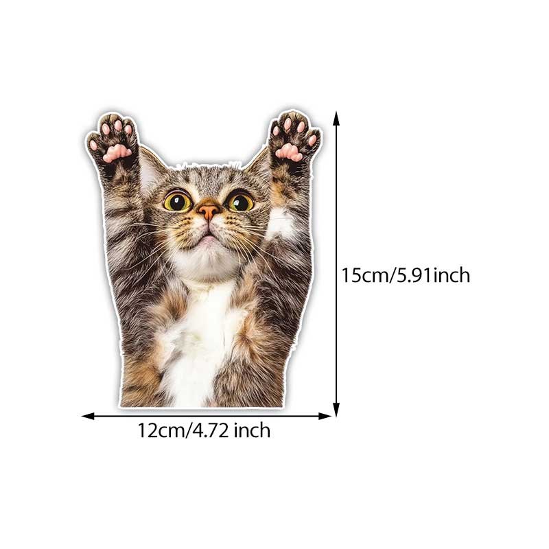 

Funny Cat Car Sticker Vinyl Decal Waterproof Rear Window Motorcycle Camper Bumper Truck Laptop Decoration Y22 B-15cm Longest Side