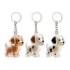 Dog Hair Storage Bottle Pet Memorial Keychain Transparent Hair Locket