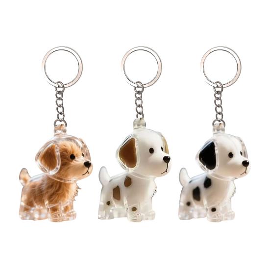Dog Hair Storage Bottle Pet Memorial Keychain Transparent Hair Locket