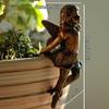 Fairy Girl Hanging Cup Resin Decoration Fairy Combination Flower Basket Edge Decoration Garden Pot Ornaments