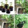Garden Planting Container Basket Vegetable Flower Pot Felt 5/7/10 Gallon Plant Grow Bag