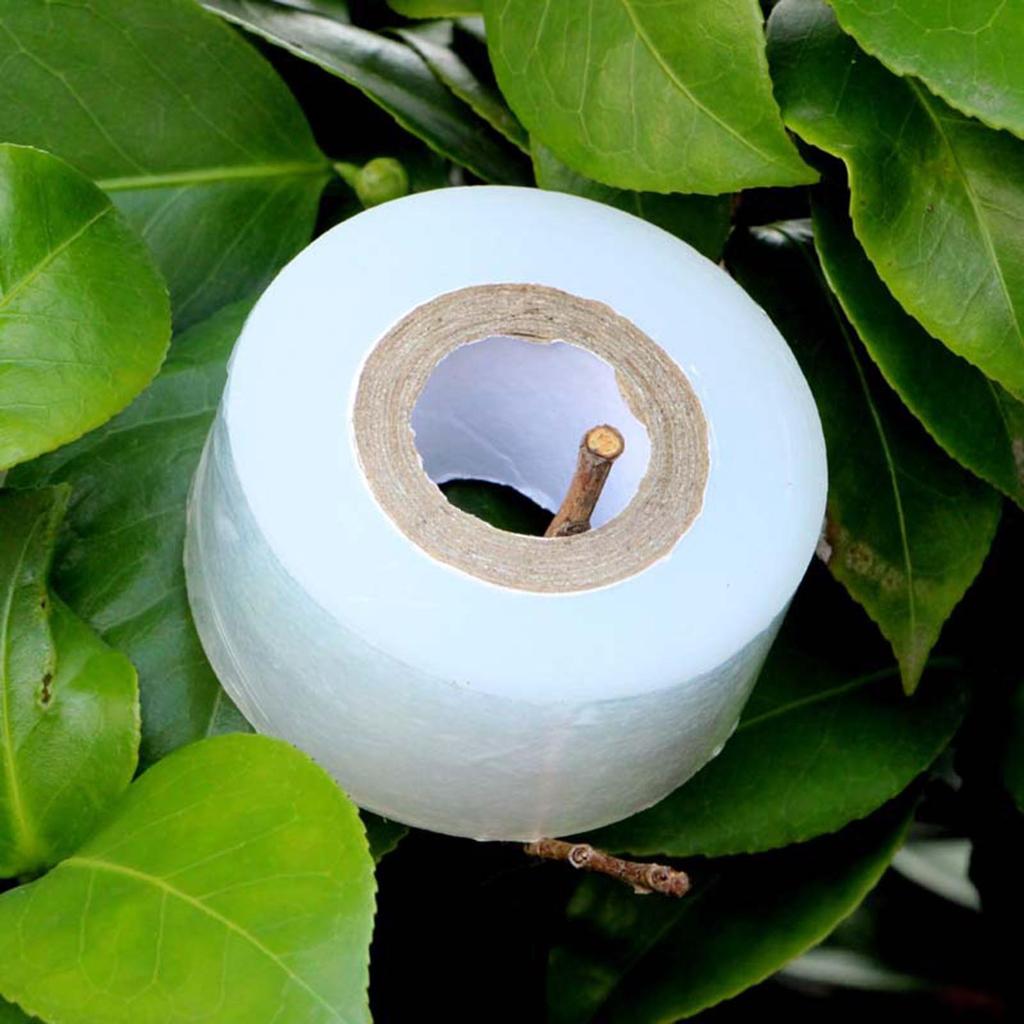 200m PE Grafting Tape Film Self-adhesive for Fruit Tree Nursery Plants Seedlings Vine Floristry Tomato Grafting Supplies Stretch