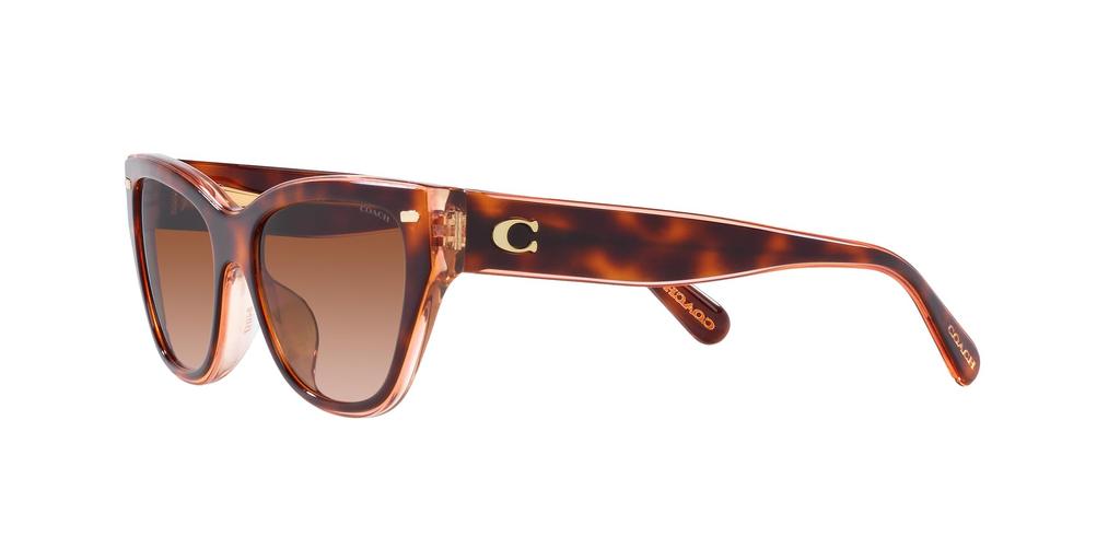 Sunglasses HC8370F CH660 PINK PINK GRADIENT Lens 56 [Coach] TORTOISE/TRANSPARENT Frame/BROWN