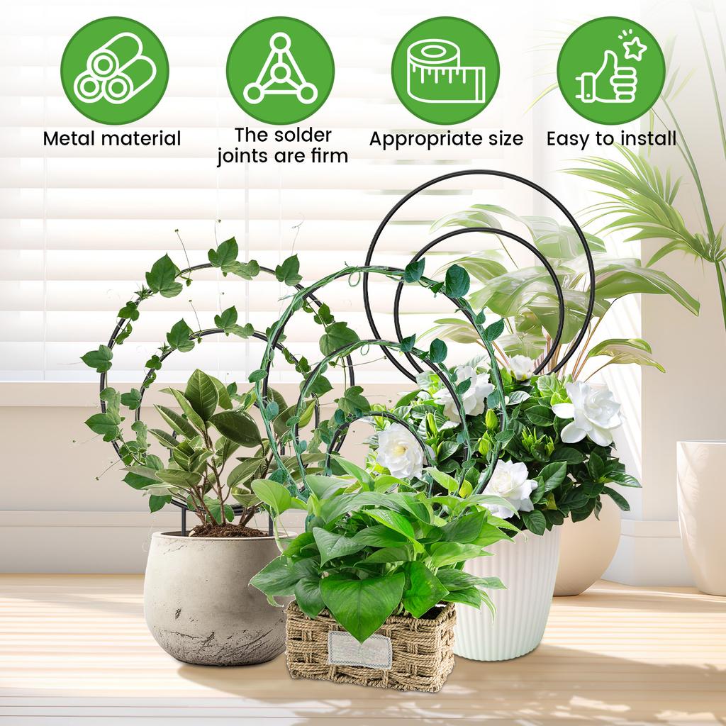 6 Stück Pflanzenstützstab Ständer Rund Garten Wein Klettergestell Metall Balkon Bonsai Blume Befestigungsstab Spalier