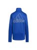 Adidas Trikot Oberteil Kinder Trainingsanzug Jacke IF811 Team Königsblau J160 (HM7133)