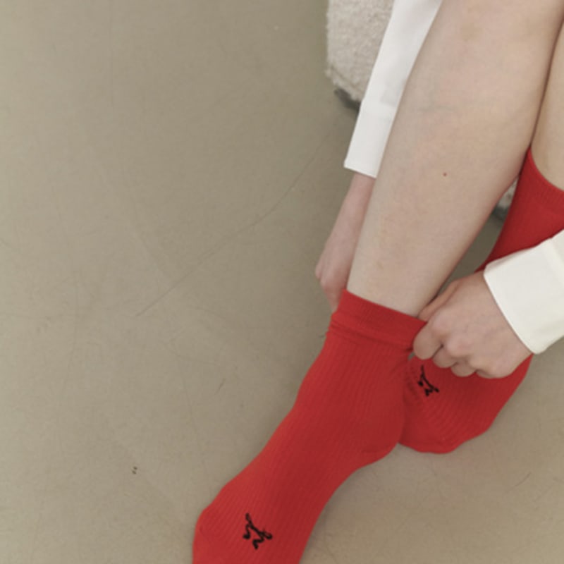 CARRY BARRETTE Ribbon Socks