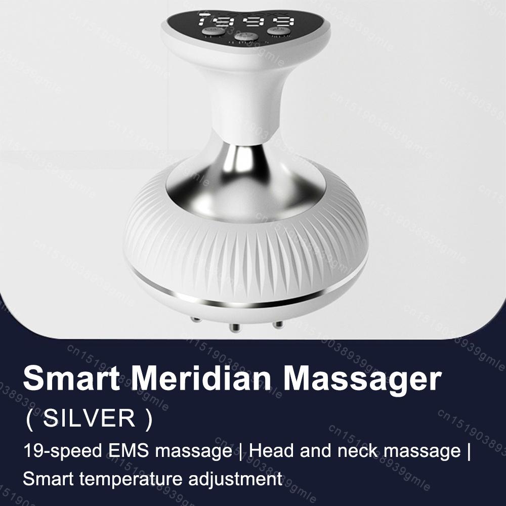 Ems Microcurrent Massager Meridian Brush Massage Tools Heated Vibration Red Light Therapy Body Slim Neck Foot Leg Back Arm Waist