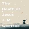 The Death of Jesus by J.M. Coetzee Paperback Book 9781529112566