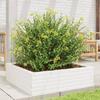 VidaXL Jardinière blanc 80x80x23 cm bois de pin massif, jardinière d'extérieur, bac à fleurs, boîte à plantes, jardinière de 847199