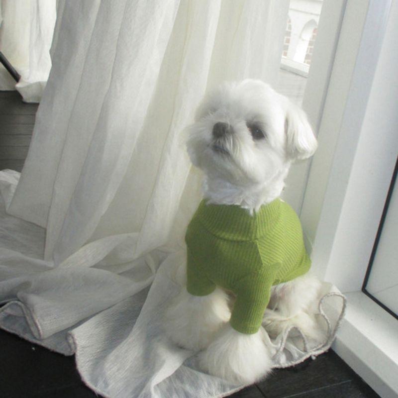 CROOKTHECHIHUAHUA Organic Modal T-shirt (9 Color)