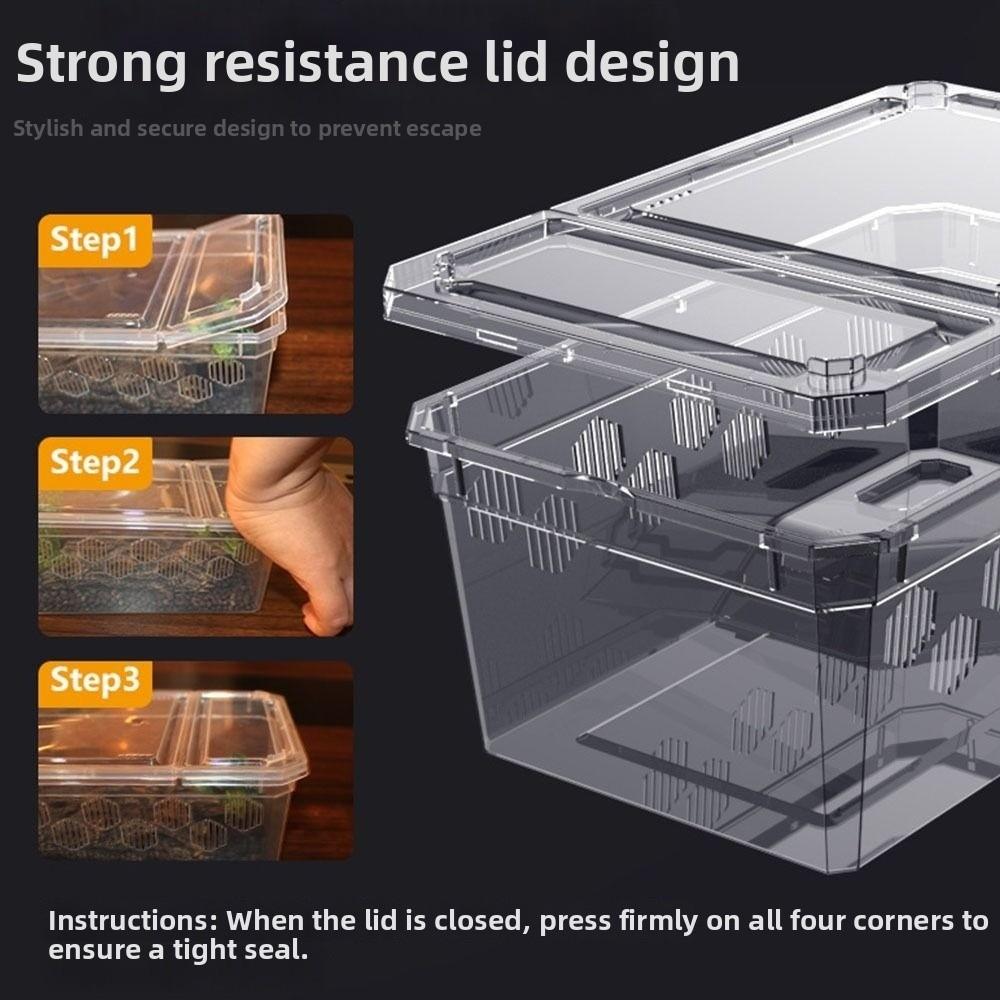 Breathable Reptile Breeding Box  For Lizards Geckos Snakes Spiders Scorpions Beetles Centipedes