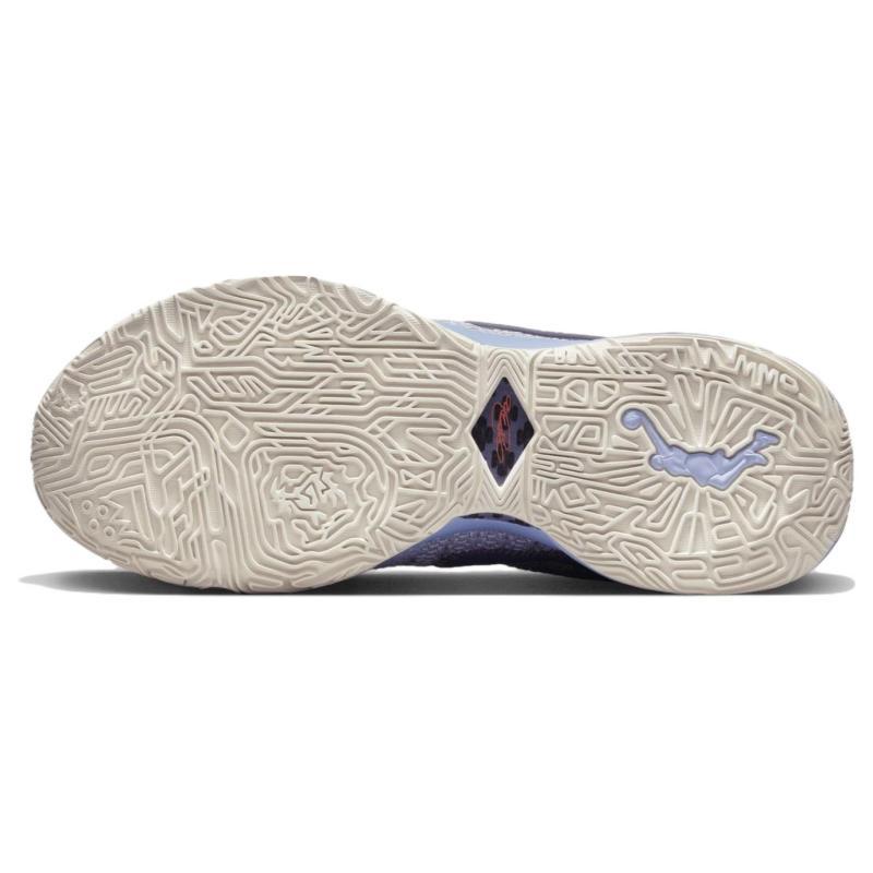 Nike LeBron 20 EP "Purple And Gold" Sneakers DJ5422-500