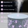 Essential Oil Diffuser 100ML Aroma Diffuser Cool Mist Humidifiers Dragonfly Scent Diffuser with Auto Shut-Off Protection