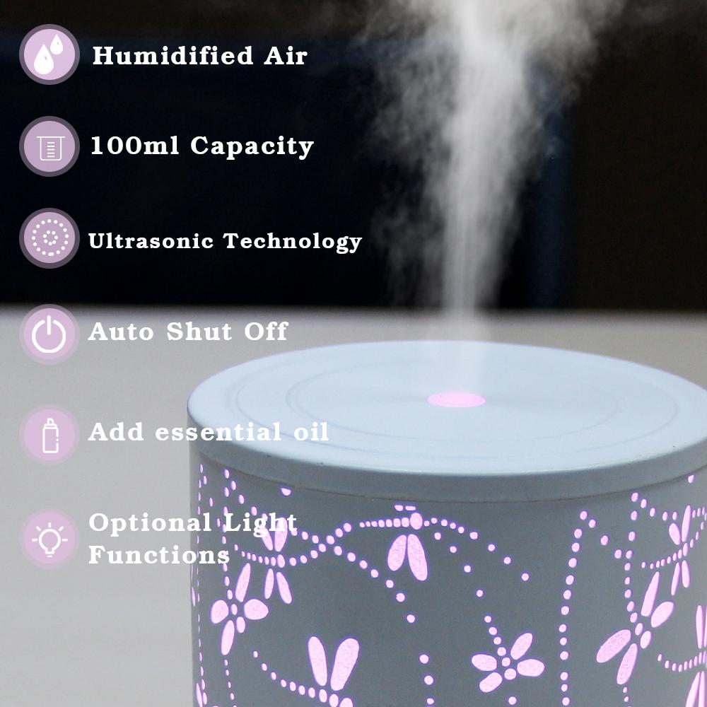 Essential Oil Diffuser 100ML Aroma Diffuser Cool Mist Humidifiers Dragonfly Scent Diffuser with Auto Shut-Off Protection