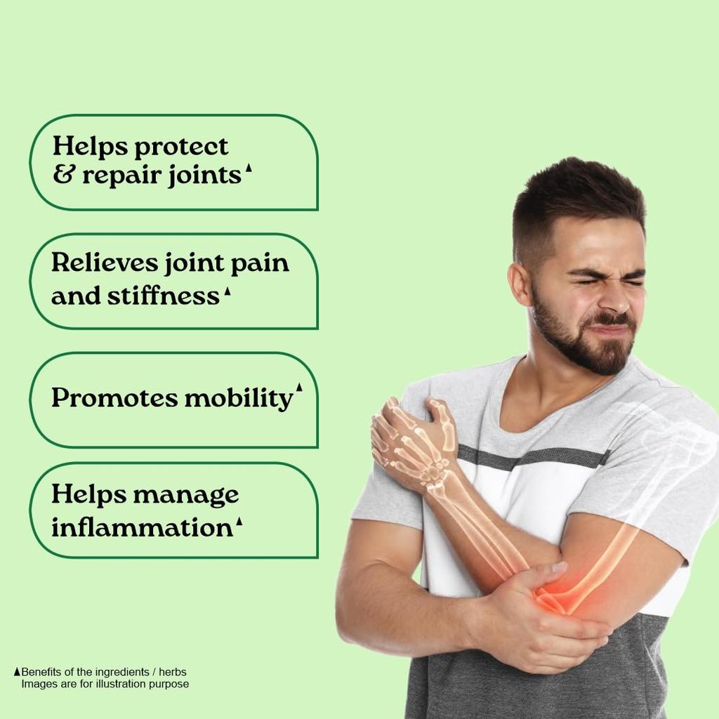 ORGANIC INDIA Flexibility 60 Veg Capsules X Pack of 3 for Joint Mobility Comfort and Muscle Support