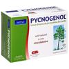NATESIS Food Supplement Pycnogenol - French Pine Bark Extract - 40 Capsules - 40 Mg