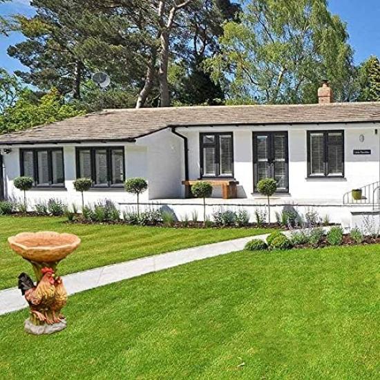 

Resin Birdbaths Wild Bird Feeder and Bath for Outside, Rooster and Chicken Bird Bath Outdoor Garden Statue Hummingbirds Standing Bowl Bath Stakes