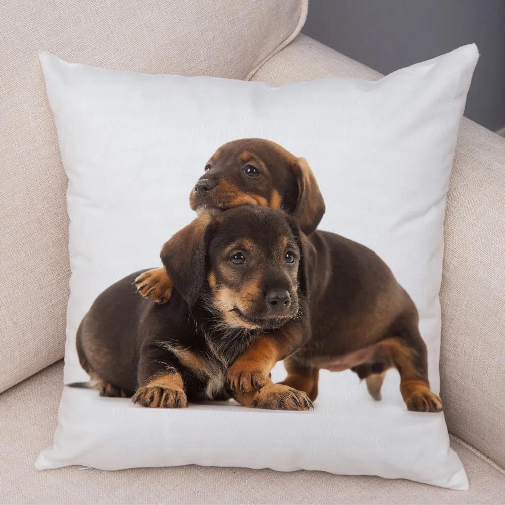 Mini Dackel Hund Kissenbezug Dekor Haustier Tier Kissenbezüge Superweicher Plüsch Kissenbezug für Sofa Zuhause Kinderzimmer 45x45cm