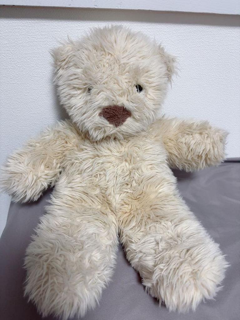 [USED] Teddy Bear Stuffed Toy