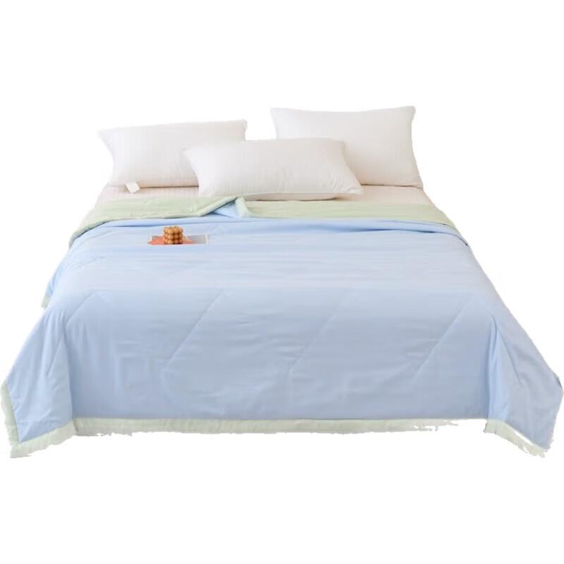 

Lan Ruo Ting All-Season Cloud Soft Fiber Quilt