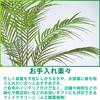 Artificial House Fake Tropical Palm Artificial House Air Inches Plants, Green, Trees, Flowers, Trees, Photocatalyst, Purifier, Deodorizer,