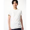 Uniqlo Japan CoTTon Crewneck T 2 Pack