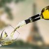 Wine Cooler,Wine Chiller With Stainless Steel Wine Pouer And Chill Rod