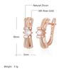 Shiny White Natural Zircon English Earrings For Women Luxury  Rose Gold Color Wedding Accessories Fine Jewelry