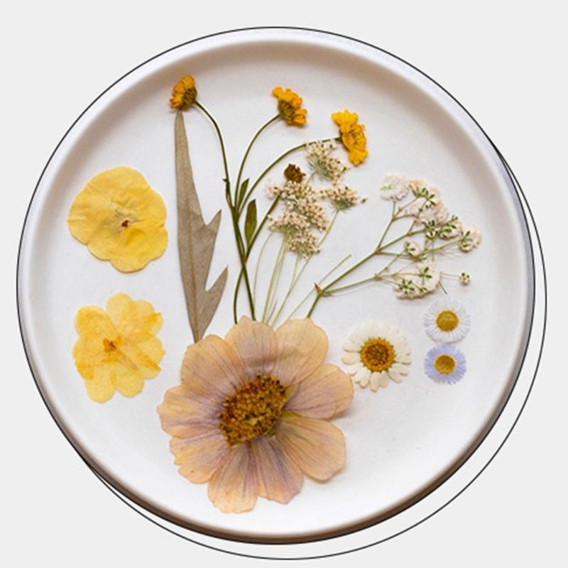 Natural Pressed Dried Flower For Epoxy Resin Dry Flowers and Leaves Set for Soap Candle Jewelry Making Scrapbooking