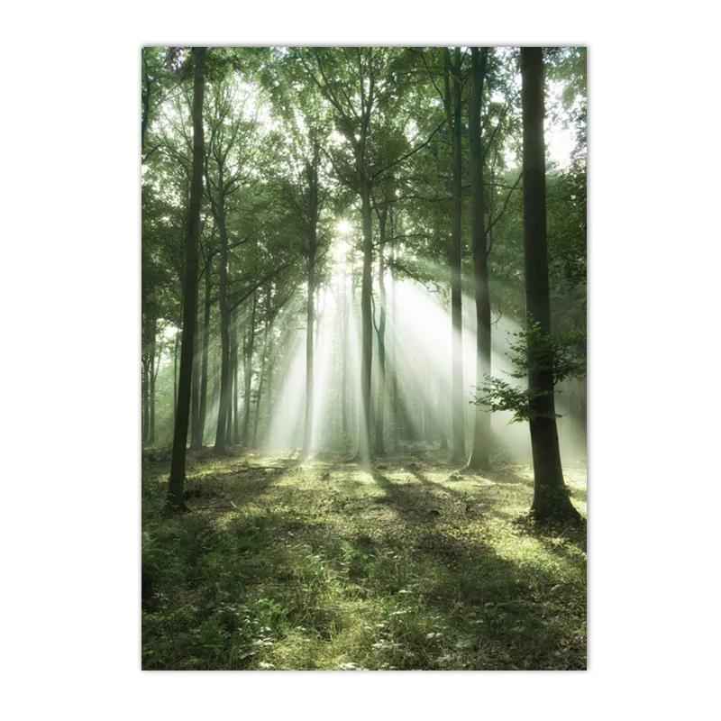 Nordic Green Forest Grassland Lake Landscape Poster Valley Path Boat Wall Art Canvas Painting Pictures Living Room Home Decor
