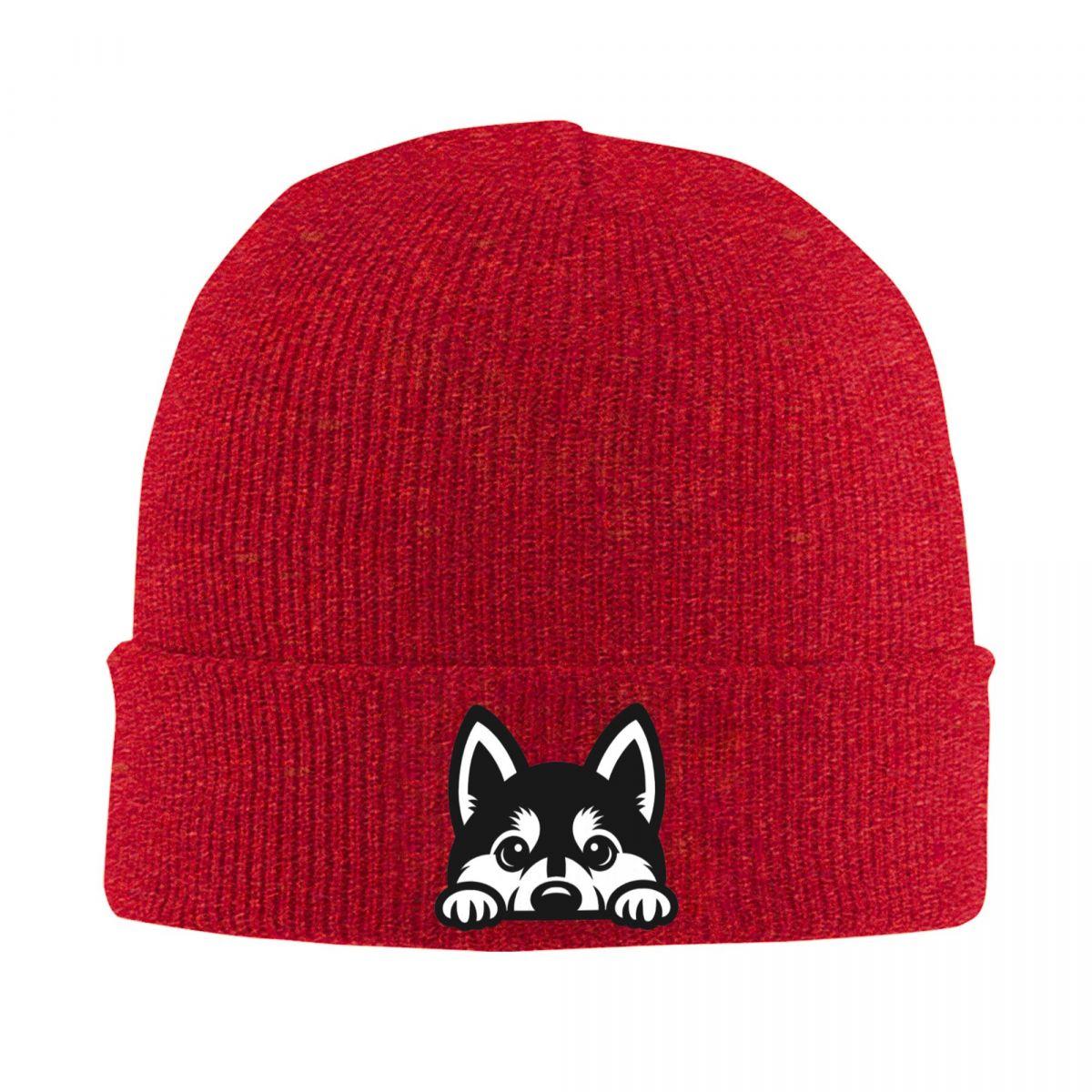 

Siberian Husky Alaskan Dog Warm Knitted Cap Winter Knit Bonnet Hat Skullies Beanies Hip Hop Caps for Unisex One Size