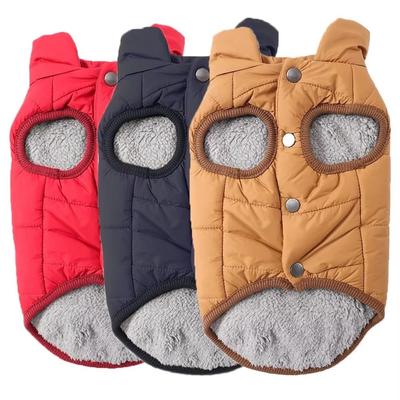 Roupa e sapatos – Casacos para cães