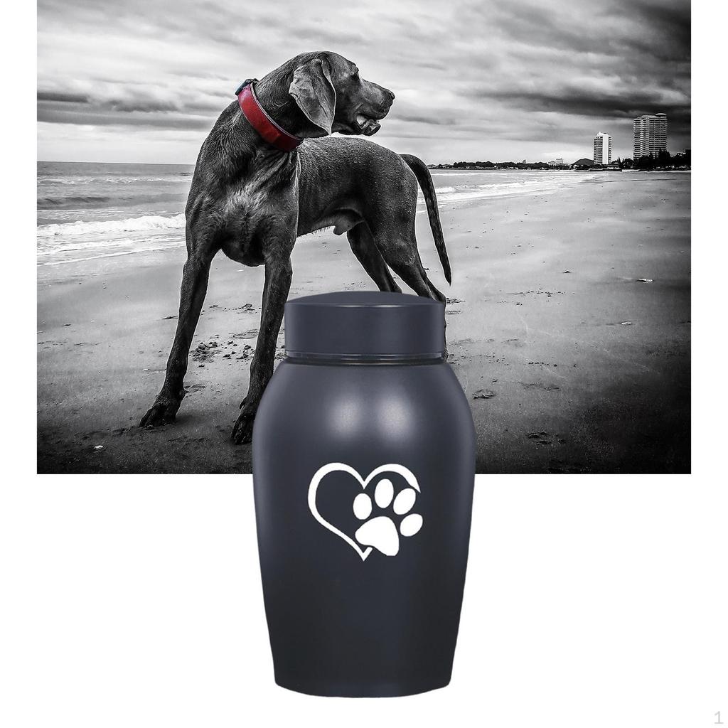 Cremation Memorial Urn Final Comforting Resting Place Casket for Funeral Box