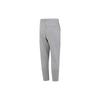 Jordan Air Jordan Logo Fleece Pants DQ7469-091