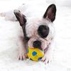 Dog Chew Toy Bite Resistant Rubber Squeaky Ball