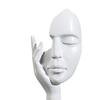 Modern Simple Creative Women Face Art Statue Abstract Character Resin Ornament for Office Study Room Living Room Bedroom Decor