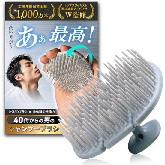 Scalp Brush Men Recommended Professionals Their 40s Dear Mr. Ice Gray (Normal Type)