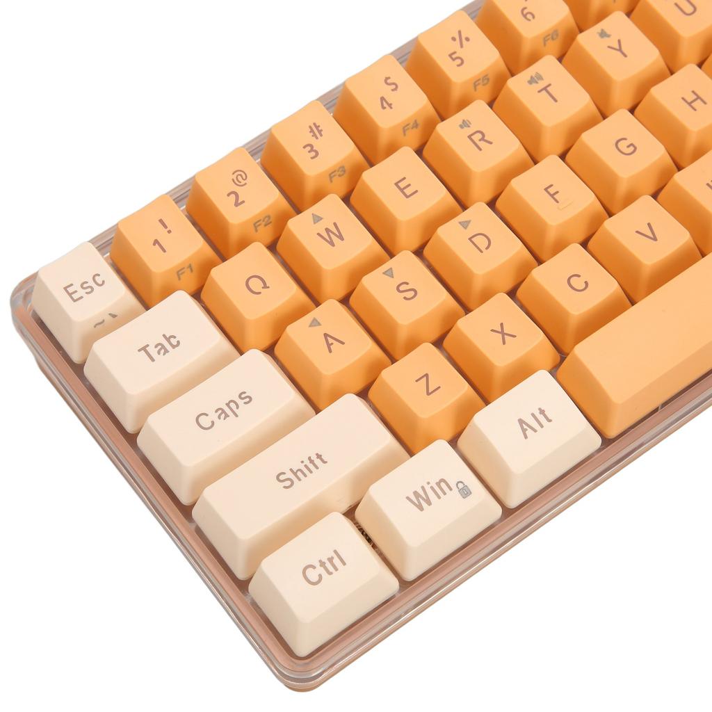 Gaming Keyboard USB 61 Keys Contrast Color RGB Light Key Line Separation Mechanical Wired Keyboard for Games