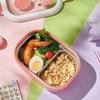 Stainless Steel Compartment Lunch Box, Portable Bento Box for Students & Workers