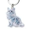 Cute Cat & Dog Fur Keychain Pendant - Creative Transparent Souvenir Gift