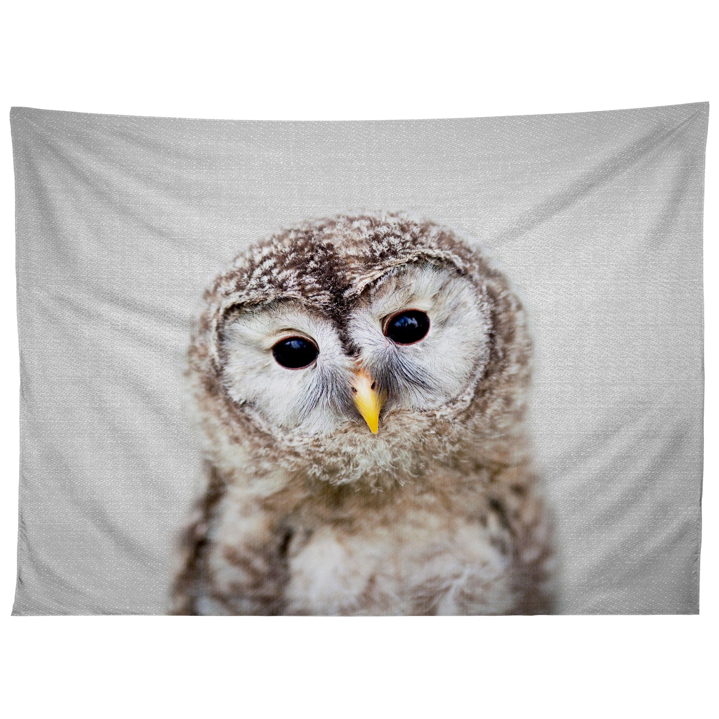 BABY OWL COLORFUL tapestry 75x100