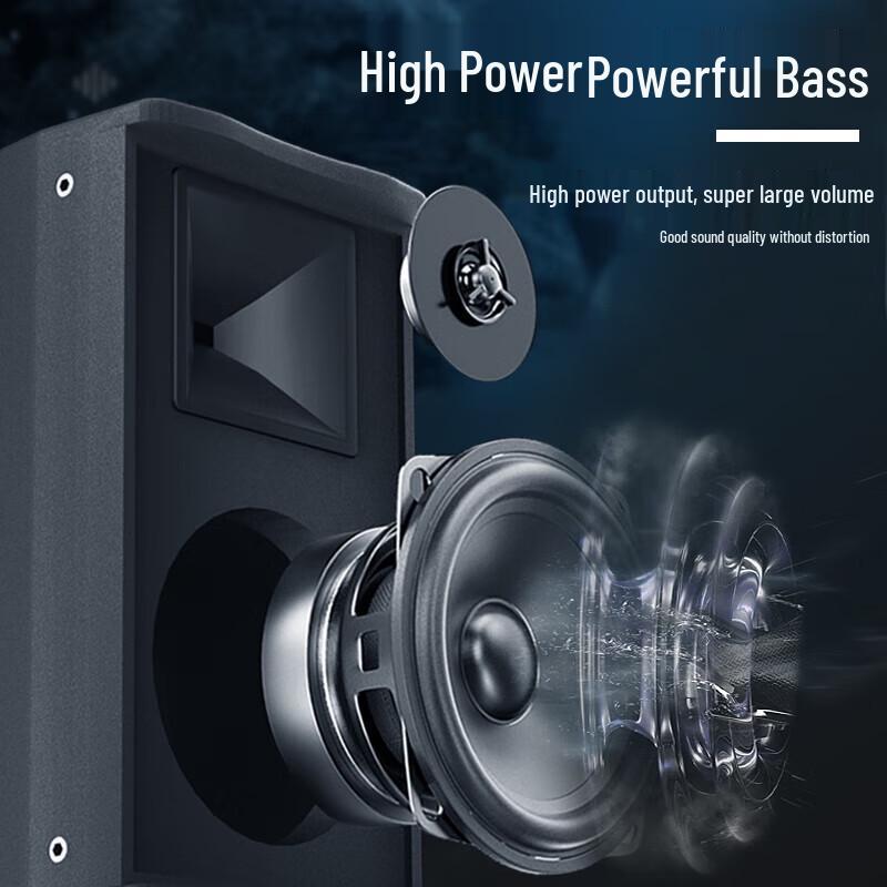 HuiDu MS-10 10-inch Professional Full-Range Speaker