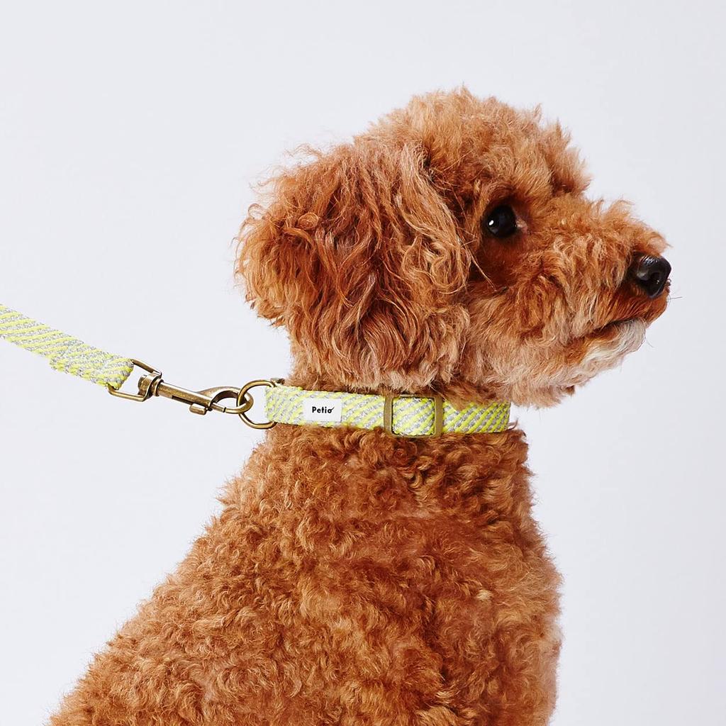 Petio Dog Collar Flash Soft Color S Yellow