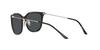 Sunglasses EA4181 Gray Lens 54 [Emporio Armani] Black/Dark