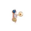 Smykker og accessoires – Piercing
