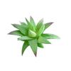 5pcs Mini Artificial Succulents Plant Fake Cactus Garden Home Office Decor Sets