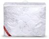 All-Year Quilt Anti-Allergic Microfiber Printed Silicone Various Sizes