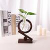 Creative Hydroponic Plants Transparent Glass Wooden Frame Vase Green Ivy Plant Simple Desktop Modern Decoration Ornament