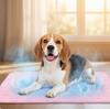 Dog Cooling Mat: 100x70cm Breathable Mesh Summer Cooling Blanket - Wear-Resistant Bite-Resistant Edges for Home Travel Car Use - Pet Cooling Pad